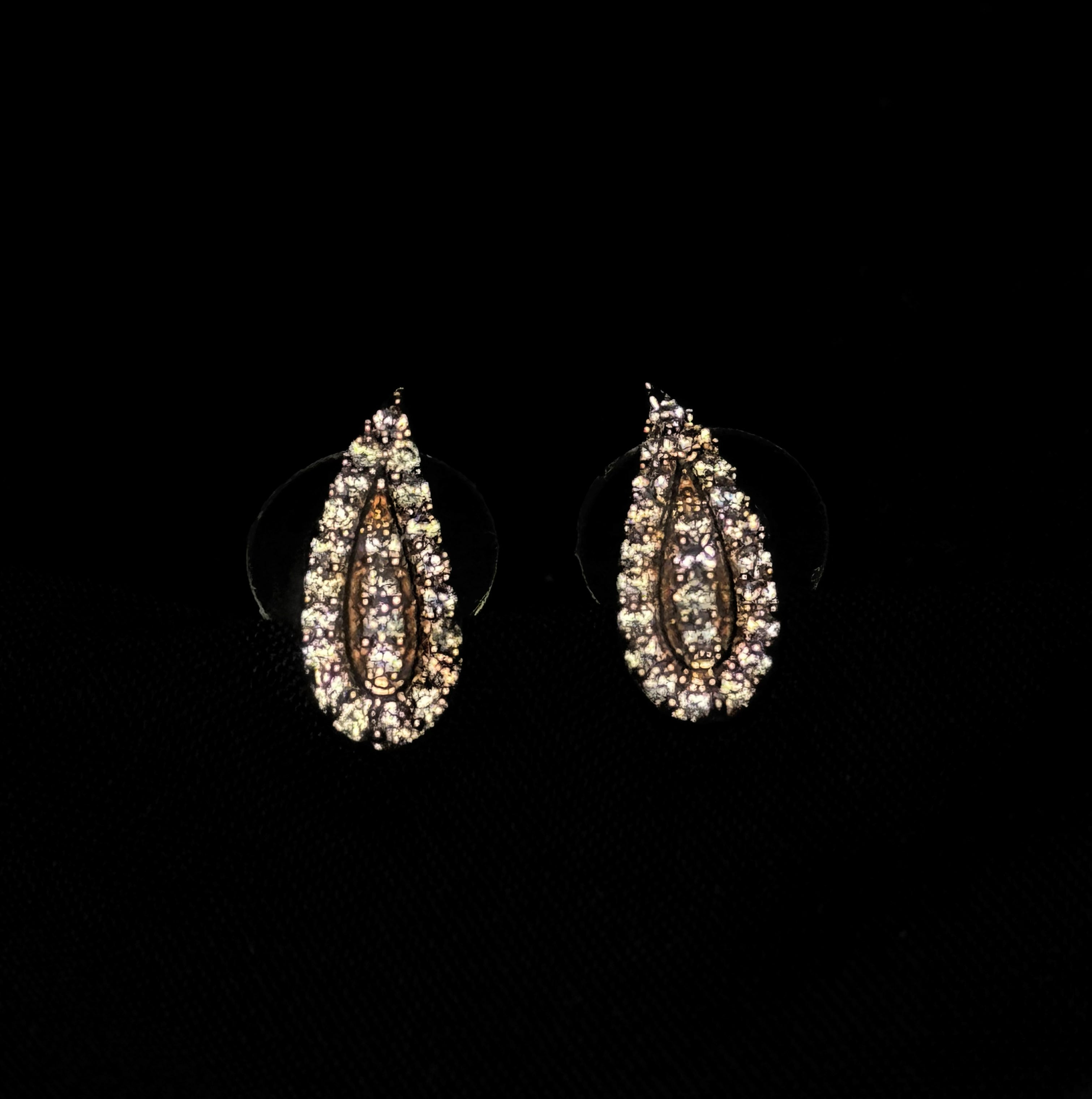 Crystal Paisley Stud Earrings